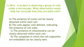 Identifying Plant Cells Under Microscope