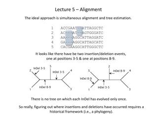 Progressive Alignment Overview in Phylogenetics