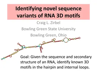 RNA 3D Motif Analysis: Novel Sequence Variants Identification