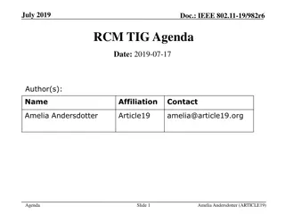 IEEE 802.11-19/982r6 RCM TIG Meeting Summary