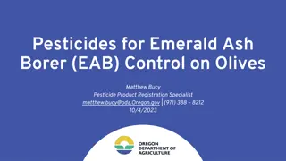 Effective Pesticides for Emerald Ash Borer Control on Olives - Regulatory Guidelines