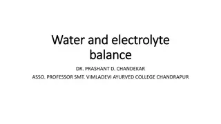 Understanding Water and Electrolyte Balance in the Human Body