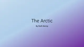 Discovering the Arctic: A Wintery Wonderland