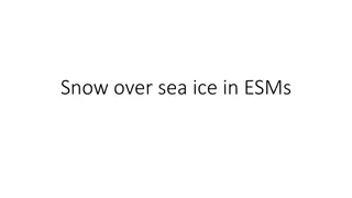 The Impact of Snow on Sea Ice in Earth System Models