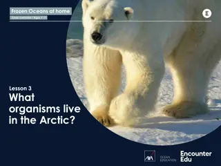 Exploring Arctic Organisms: Lesson for Ages 7-11