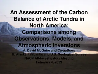 Carbon Balance of Arctic Tundra in North America: An Overview