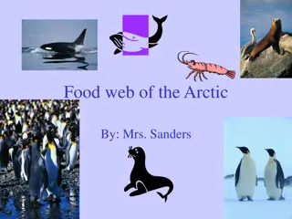 Arctic Food Web: A Fascinating Ecosystem of Interconnected Life