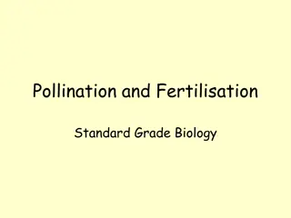 Pollination, Fertilization, and Flower Features