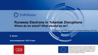 Runaway Electrons in Tokamak Disruptions: Current Status and Future Directions