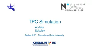 Cutting-Edge TPC Simulation Techniques at Budker INP & NSU