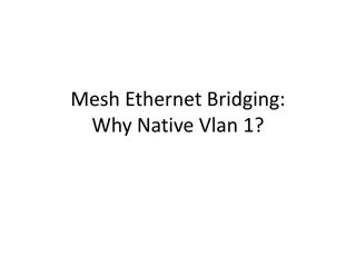 Understanding Native VLAN 1 in Mesh Ethernet Bridging