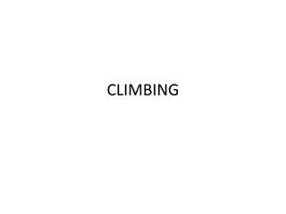 Essential Climbing Safety Tips and Techniques