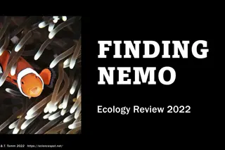 Exploring the Ecology of Finding Nemo and the Great Barrier Reef