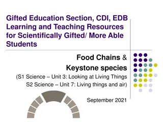 Exploring Food Chains and Keystone Species in Gifted Education