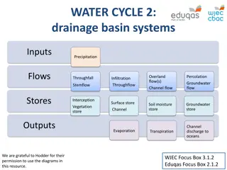 The Water Cycle in Drainage Basin Systems