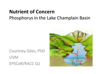 Exploring Phosphorus: History, Distribution, and Impact in the Lake Champlain Basin