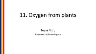 Experimental Method for Measuring Oxygen Production in Green Plants