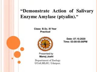 Demonstration of Salivary Enzyme Amylase Action in B.Sc. Practical