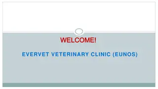 Looking for the best Dog Vaccine in Geylang