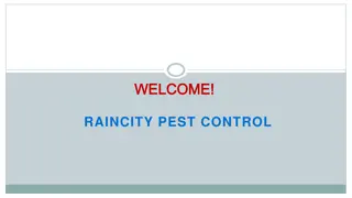 Looking for the best Residential pest control in Downtown Vancouver