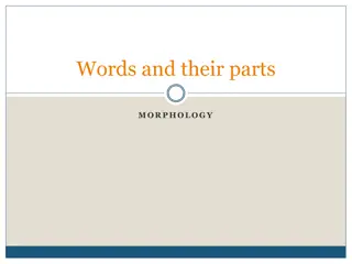 Understanding Words and Their Parts in Morphology