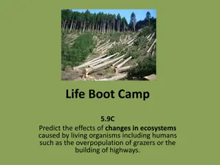 Understanding Ecosystem Changes Caused by Living Organisms