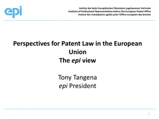 Future Perspectives for EU Patent System: Granting and Litigation Systems