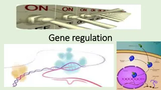 Gene Regulation and Control of Gene Expression