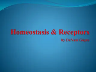 Homeostasis in Organisms