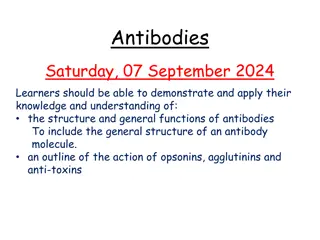 Antibodies: Structure, Functions, and Applications