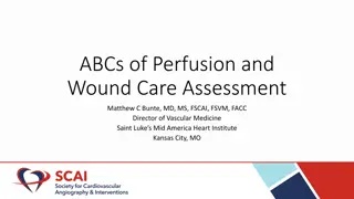 Perfusion and Wound Care Assessment