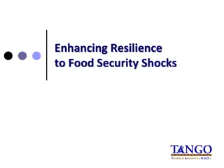 Resilience in Food Security Shocks