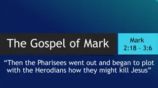 Jesus' Rejection in the Gospel of Mark