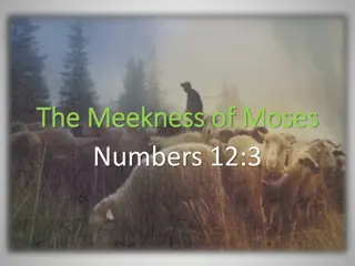 The Meekness of Moses: Lessons in Humility and Influence