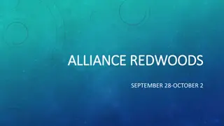 Alliance Redwoods Camp Information and Schedule