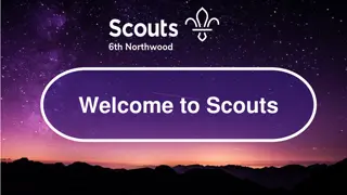 Exciting Scouts Awards and Challenges for Adventure Seekers