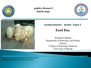 Fowl Pox in Avian Species: Causes, Symptoms, and Diagnosis