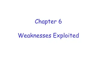 Understanding Software Weaknesses and Exploits