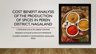 Cost-Benefit Analysis of Spices Production in Peren District, Nagaland