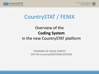 Overview of Coding Systems in CountrySTAT/FENIX