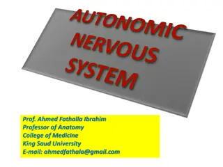 The Autonomic Nervous System in Anatomy Lecture