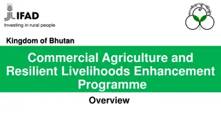 Enhancing Agricultural Resilience and Livelihoods in Bhutan