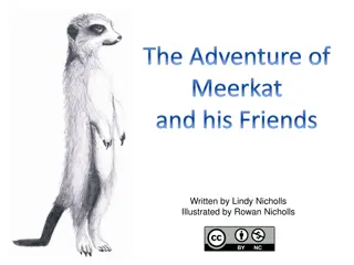 The Adventure of Meerkat and His Friends