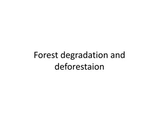 Understanding Deforestation and Forest Degradation: Causes and Impacts