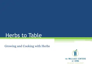 Growing and Cooking with Herbs: A Comprehensive Guide