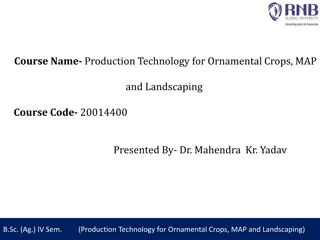 Production Technology for Ornamental Crops, MAP, and Landscaping: Cinnamomum Production