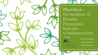 Uncovering Russian Plant Names: PhytoLex Database Project