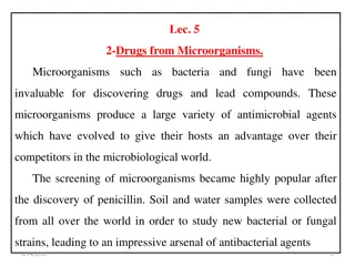 Microorganisms: A Treasure Trove of Medicinal Compounds