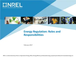 Energy Regulation: Roles and Responsibilities in February 2017