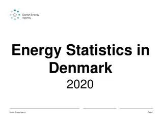 Energy Statistics in Denmark 2020 - Overview